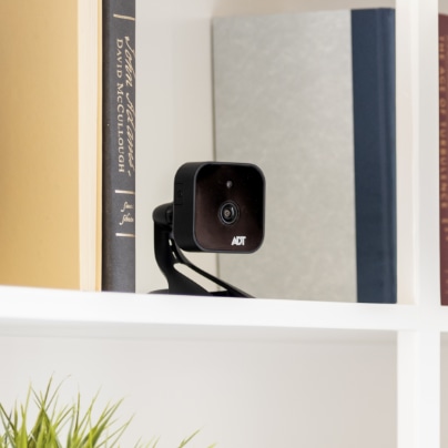 Rockford indoor security camera